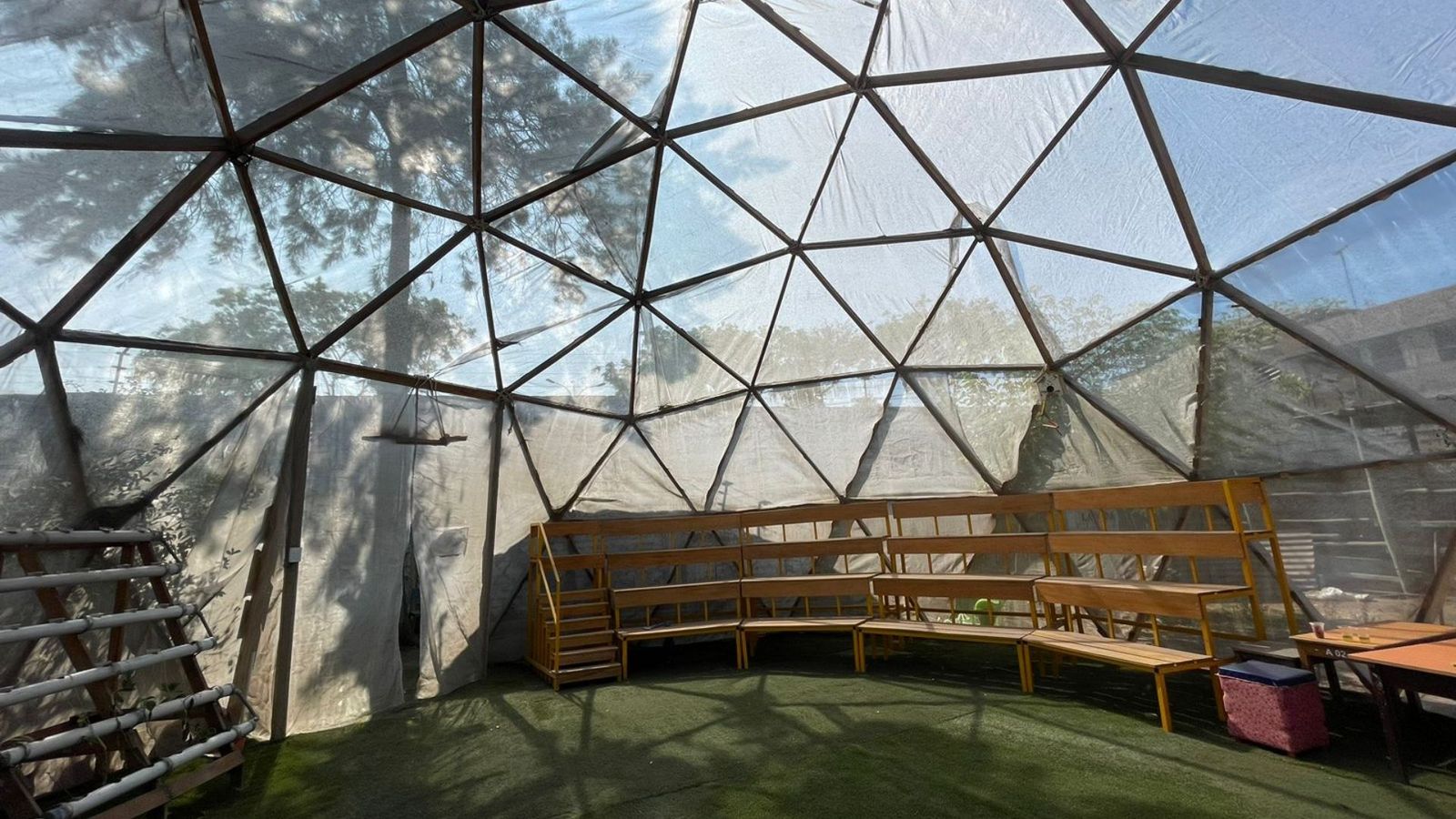 Interior de un domo geodésico educativo con bancas de madera y plantas
