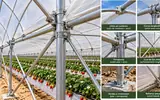 Ver foto 3: Detalles de uniones y refuerzos del macrotúnel FORTE