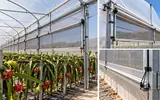 Ver foto 4: Ventilación lateral y malla del macrotúnel PLUS