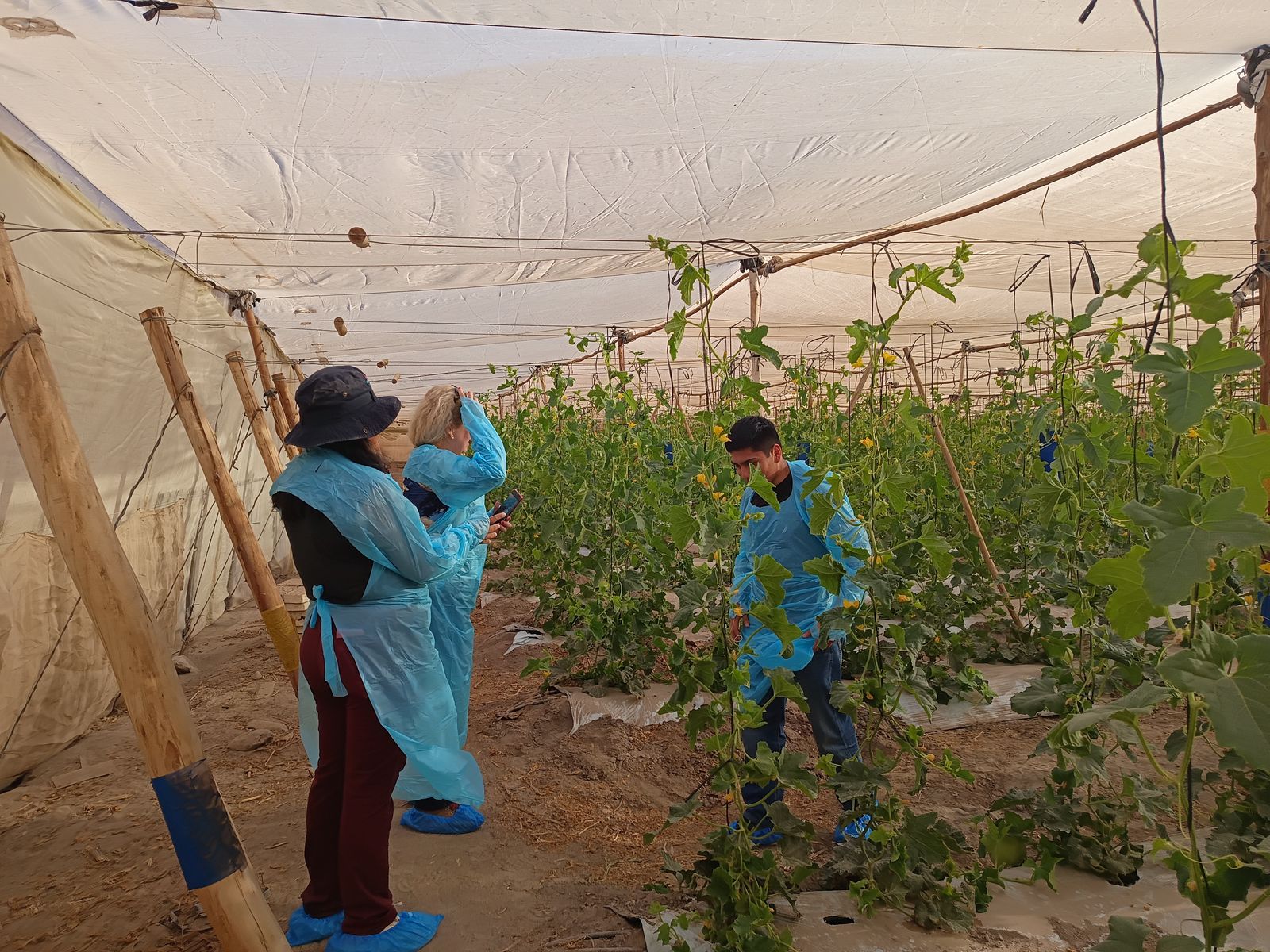 Equipo de Kallpa Greenz y Blue Oak en una visita técnica en Arica